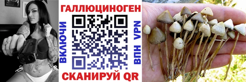 Псилоцибиновые грибы GOLDEN TEACHER  как найти   Лангепас 